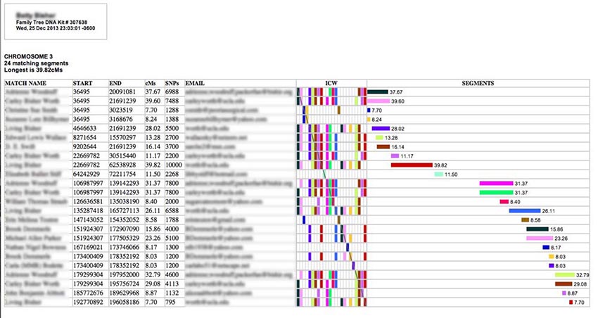 Dna Segment Chart